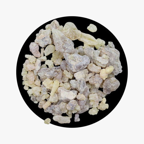 Frankincense Carterii Resin Grade A+ Premium