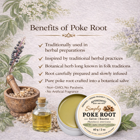 Poke Root Salve | Small Batch Herbal Botanical Salve